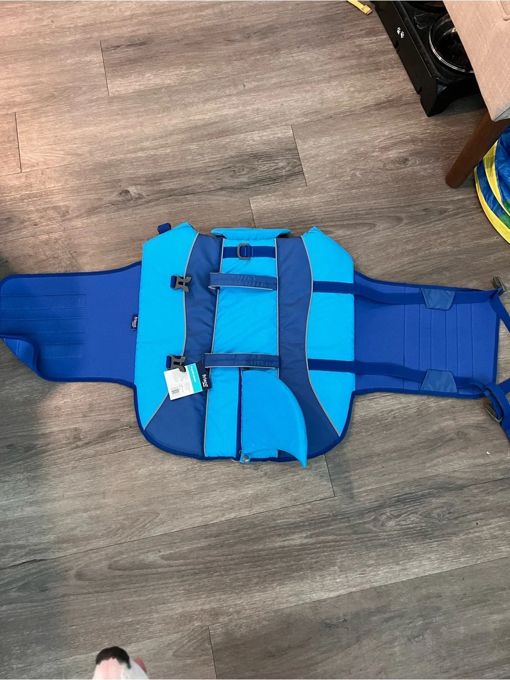 Blue Shark Dog Life Jacket with Handle - Safety Swim Vest